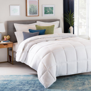 All Season 2024 Down Alternative Comforter with graphite border